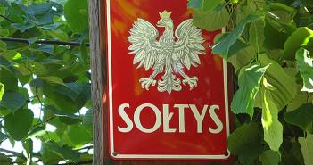 sołtys