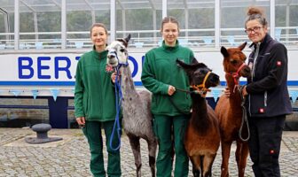 Rejs charytatywny statkiem EMS Berzdorf na rzecz Zoo Görlitz. Dochód z biletów zakupionych na statku zostanie przekazany na rzecz zoo.