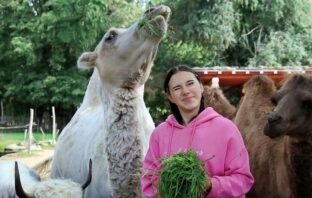 Jesteśmy zoo-per! Zoo Görlitz-Zgorzelec Drugim Najlepszym Ogrodem Zoologicznym w Niemczech!